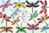 Dragon Fly Collection Clipart Bundle