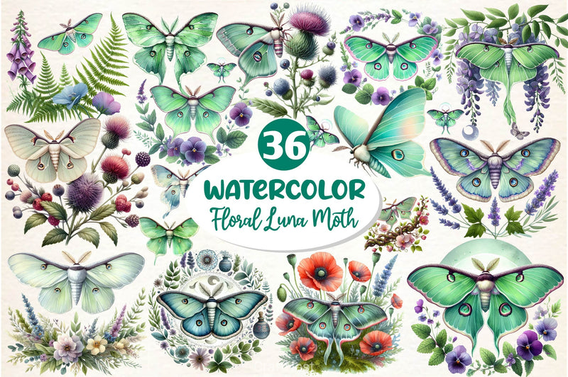 Botanical Floral Luna Moth Clipart Bundle - CraftNest - Digital Crafting and Art