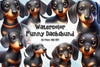 Adorable And Funny Dachshund Clipart Bundle