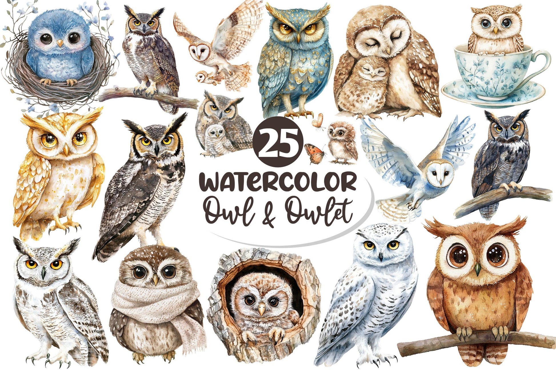 Owl Owlet Clipart Bundle 2 - CraftNest - Digital Crafting and Art