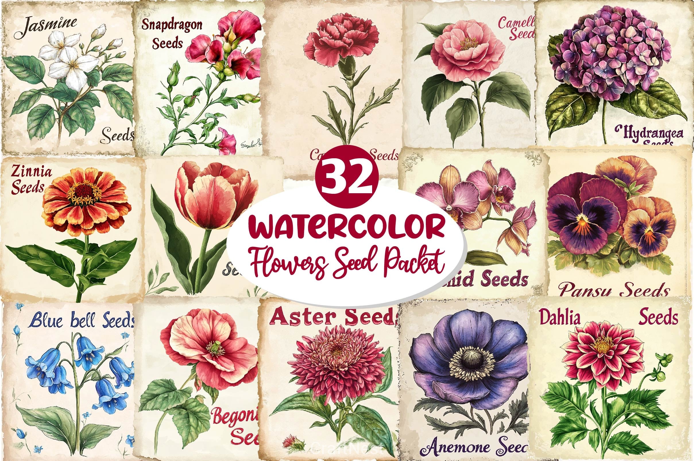 Vintage Flowers Seed Packet Clipart Bundle 2 - CraftNest - Digital Crafting and Art