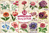 Vintage Flowers Seed Packet Clipart Bundle 2