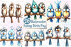 Funny Birds Watercolor Clipart Bundle