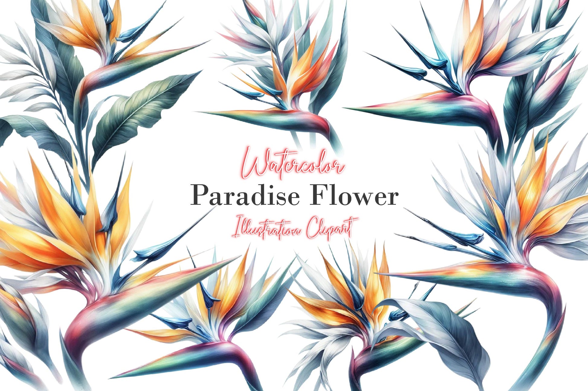 Paradise Flower Clipart Bundle - CraftNest - Digital Crafting and Art