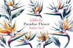 Paradise Flower Clipart Bundle - CraftNest - Digital Crafting and Art