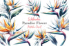 Paradise Flower Clipart Bundle