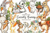 Hand Painted Bunny With Carrots Clipart Bundle