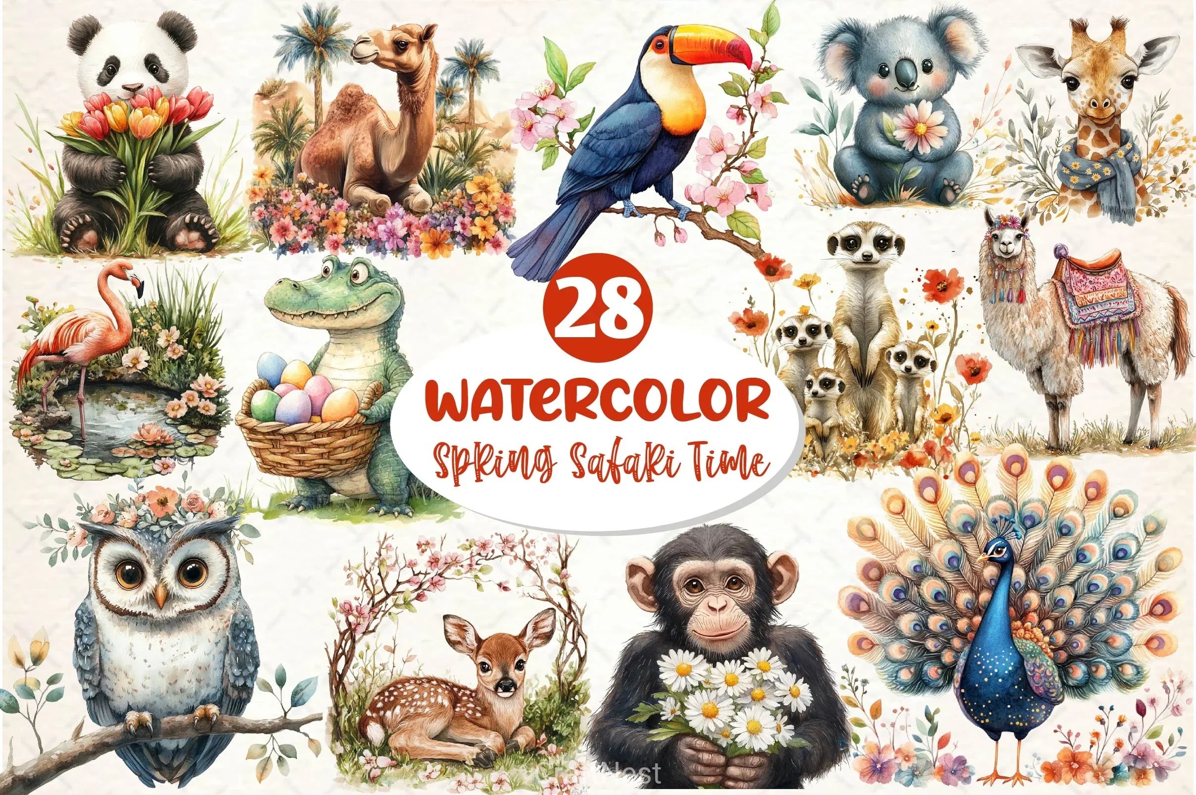 Spring Safari Time Clipart Bundle 2 - CraftNest - Digital Crafting and Art