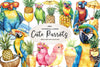 Cute Parrots & Pineapples Summer Clipart Bundle