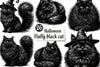 Halloween Fluffy Black Cat Clipart Bundle