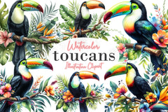 Toucans Clipart Bundle - CraftNest - Digital Crafting and Art