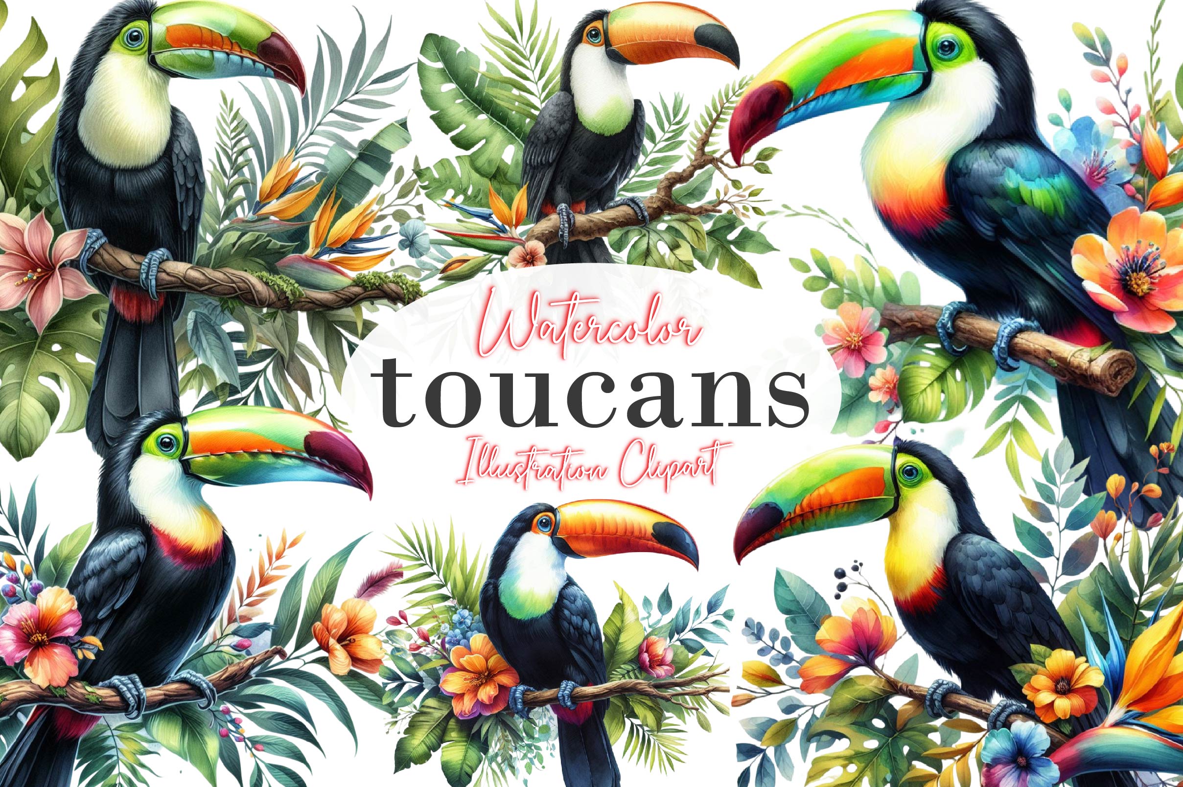 Toucans Clipart Bundle - CraftNest - Digital Crafting and Art