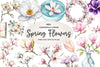 Magnolias Spring Flowers Clipart Bundle