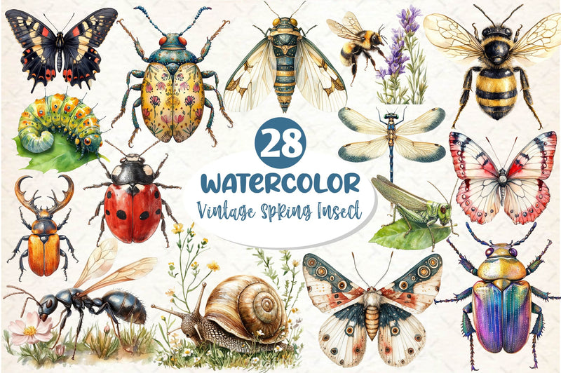 Vintage Spring Insect Clipart Bundle 5 - CraftNest - Digital Crafting and Art