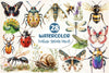 Vintage Spring Insect Clipart Bundle 5