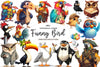 Quirky Funny Bird Clipart Bundle 2