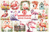 Spring Flamingo Clipart Bundle 2