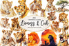 Lioness & Cub Clipart Bundle