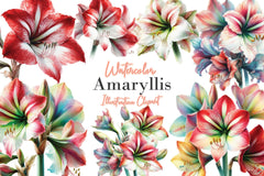 Amaryllis Clipart Bundle - CraftNest - Digital Crafting and Art