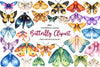 Butterfly Clipart Bundle 5