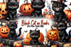 Halloween Black Cat On Books Clipart Bundle