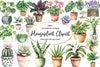 Houseplant Clipart Bundle