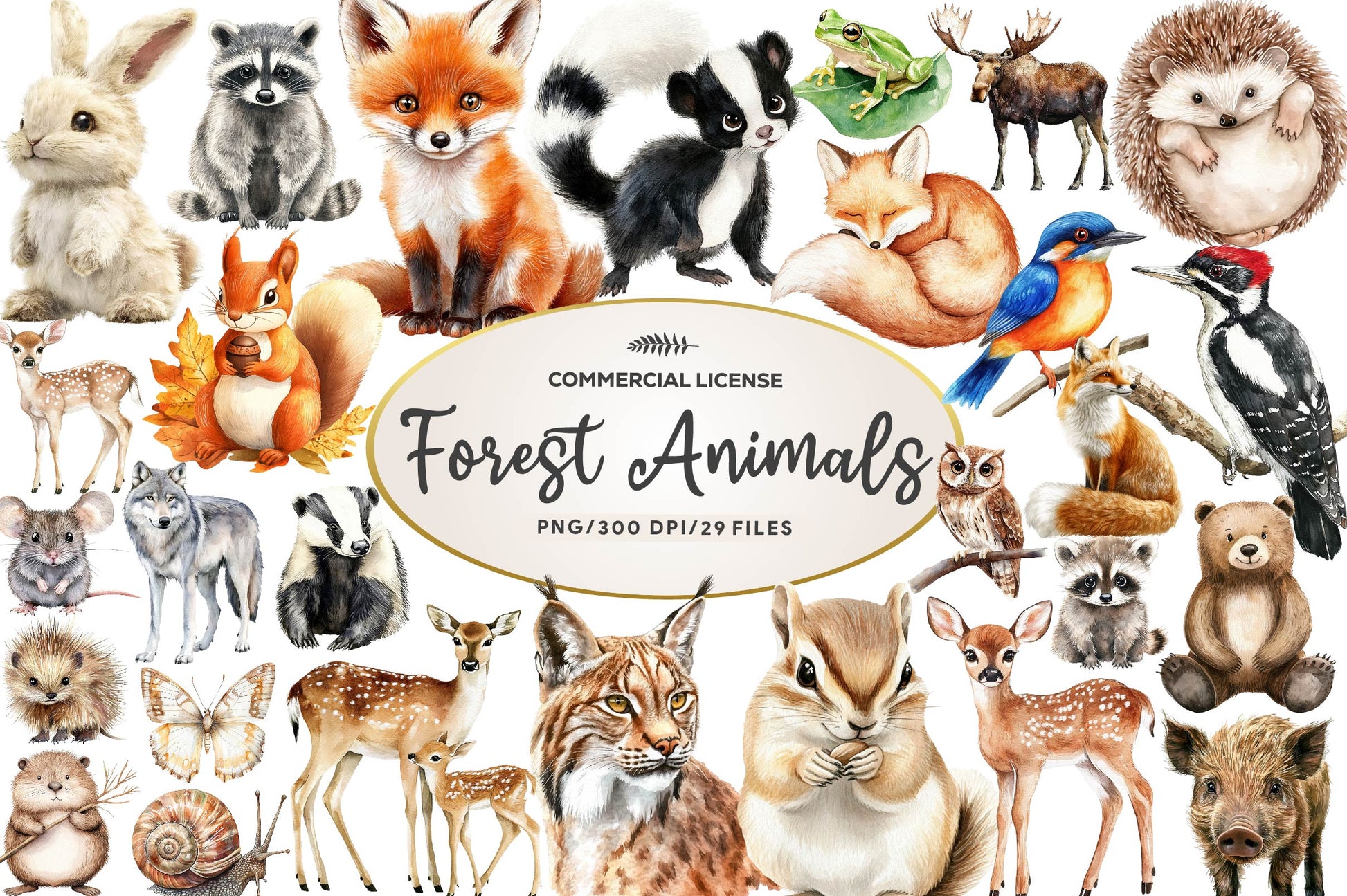 Woodland Forest Animals Clipart Bundle 2 - CraftNest - Digital Crafting and Art