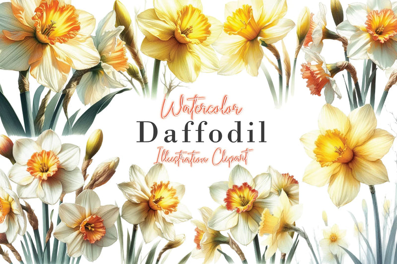 Daffodil Clipart Bundle - CraftNest - Digital Crafting and Art