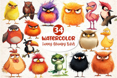 Funny Grumpy Birds Clipart Bundle - CraftNest - Digital Crafting and Art