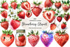 Strawberry Clipart Bundle