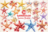 Summer Starfish Clipart Bundle 3