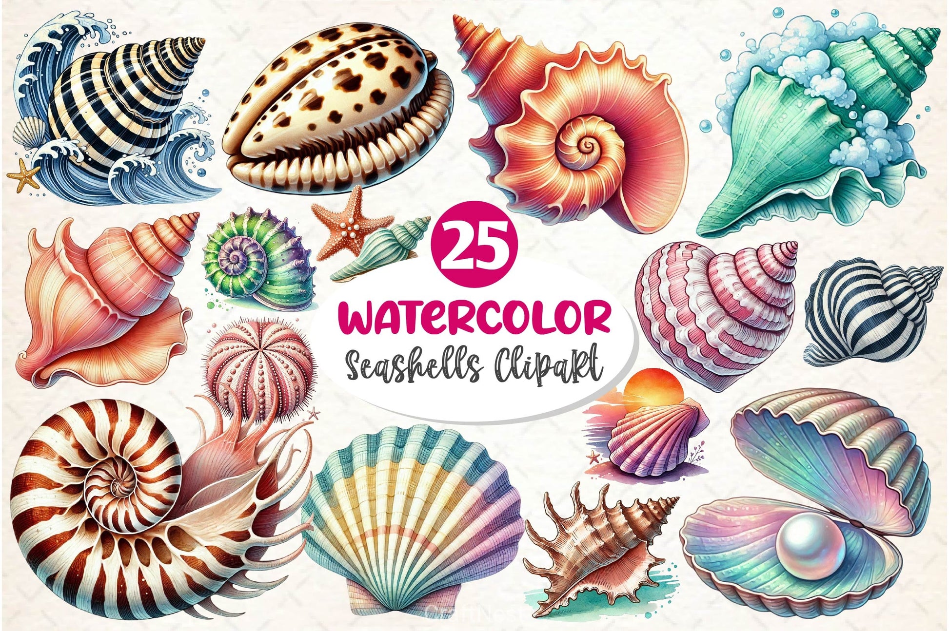 Seashells Clipart Bundle 2 - CraftNest - Digital Crafting and Art