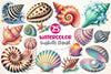 Seashells Clipart Bundle 2