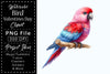 Bird Valentines Clipart Bundle 4