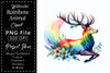 Rainbow Animals Clipart Bundle 2