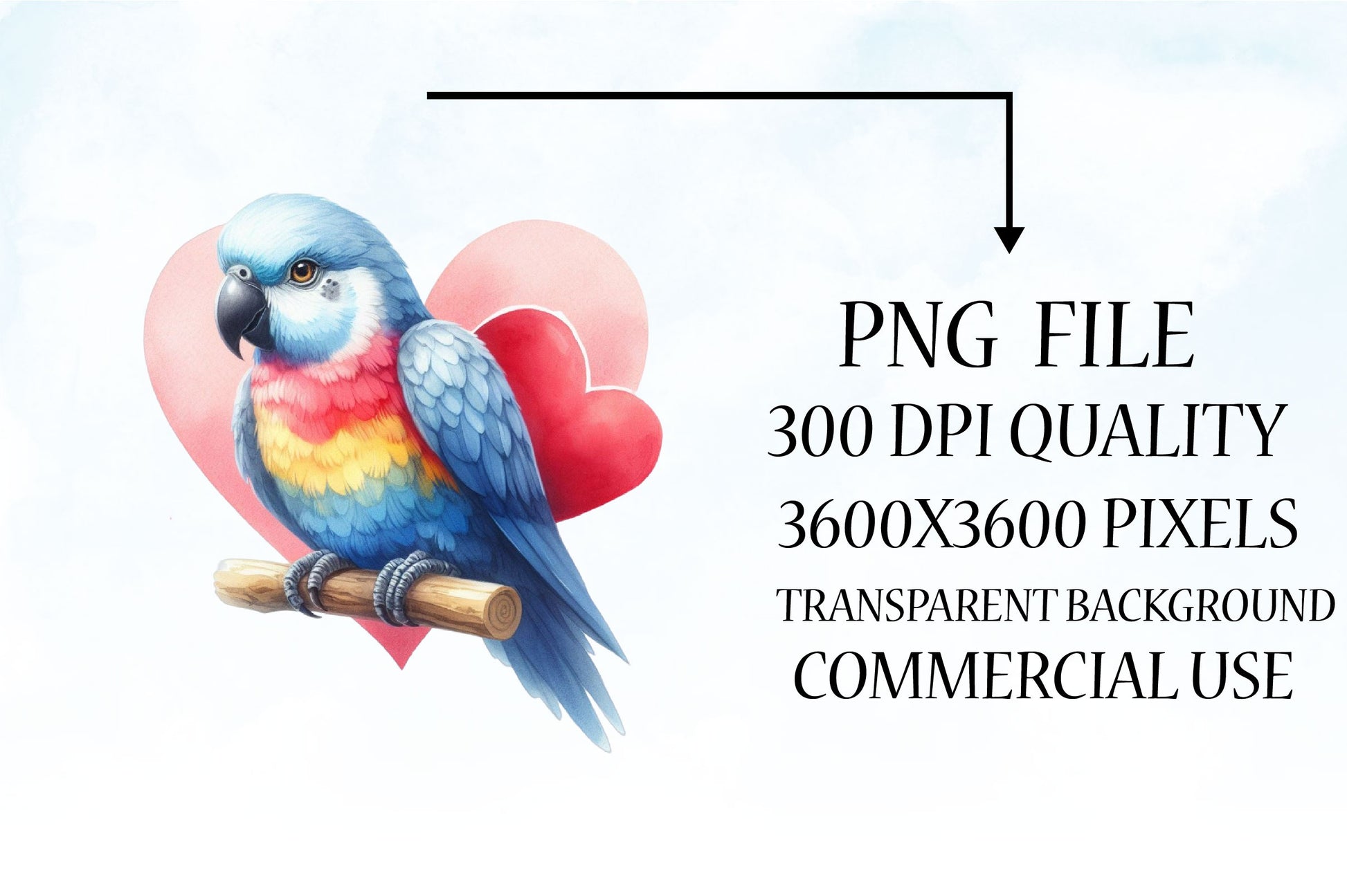 Bird Valentine's Day Clipart Bundle 2 - CraftNest - Digital Crafting and Art