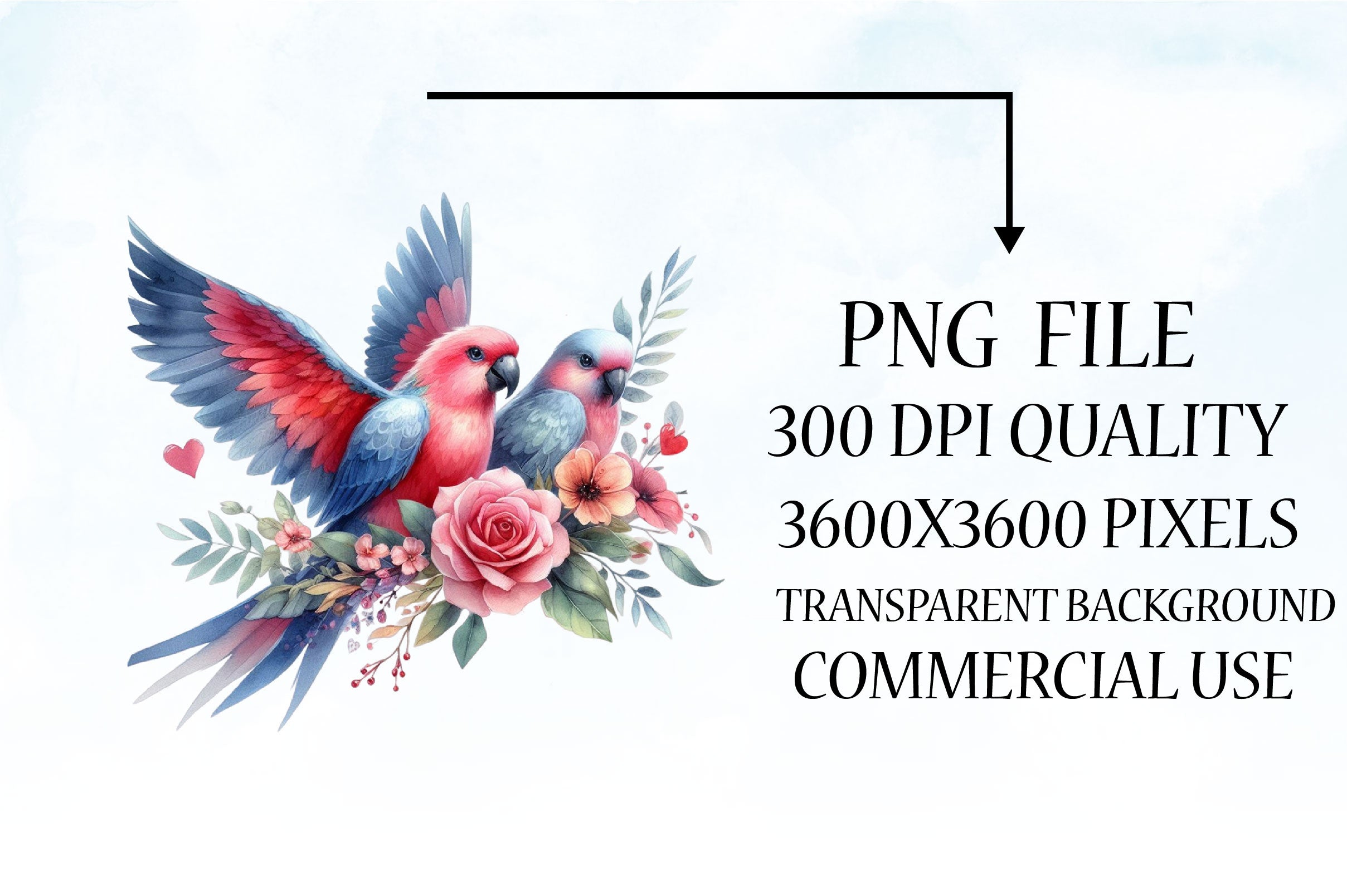 Bird Valentines Clipart Bundle - CraftNest - Digital Crafting and Art