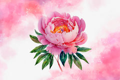 Pink Peony Set Clipart Bundle - CraftNest - Digital Crafting and Art