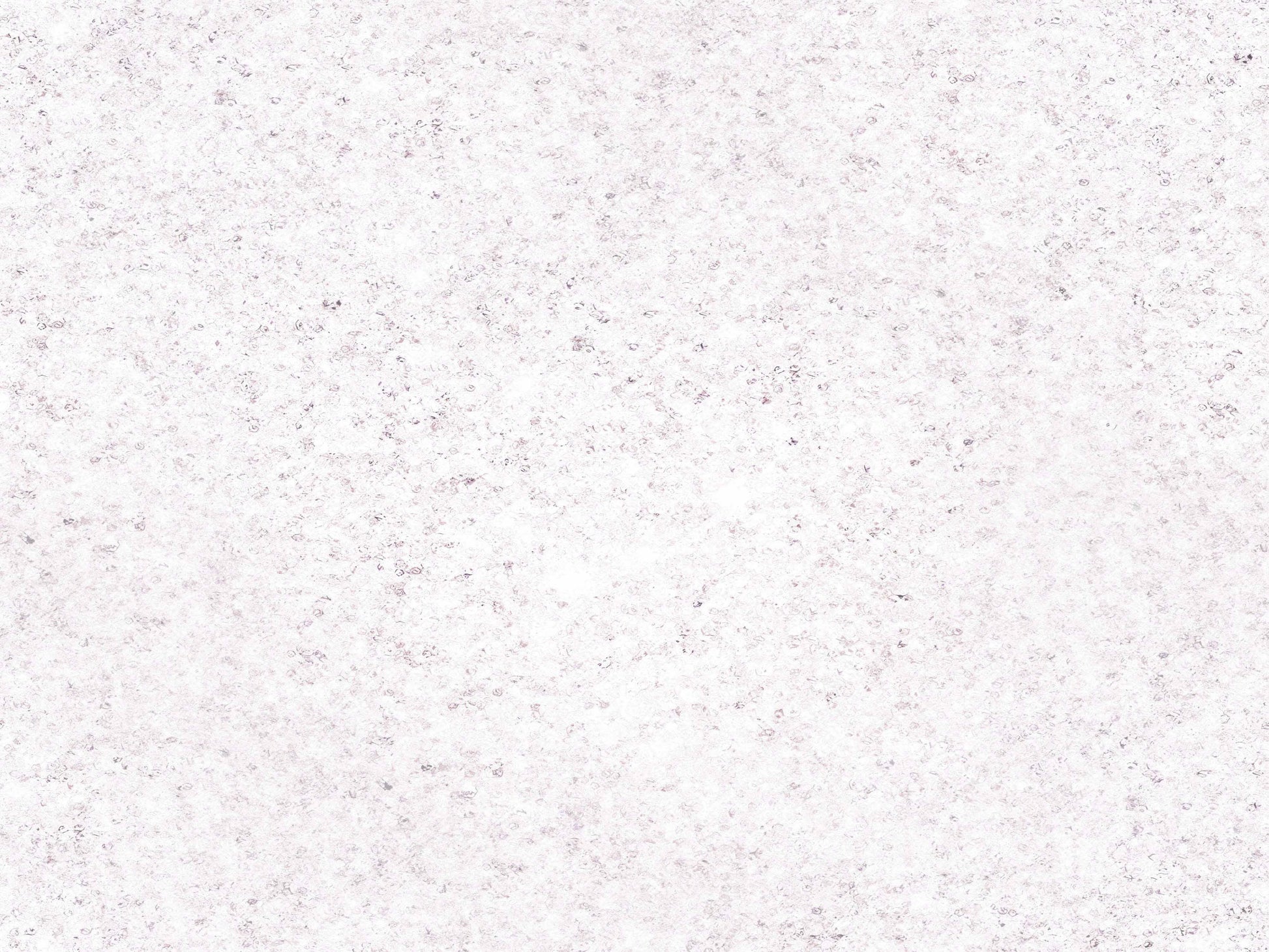 Luxury White Seamless Texture Paper - CraftNest - Digital Crafting and Art