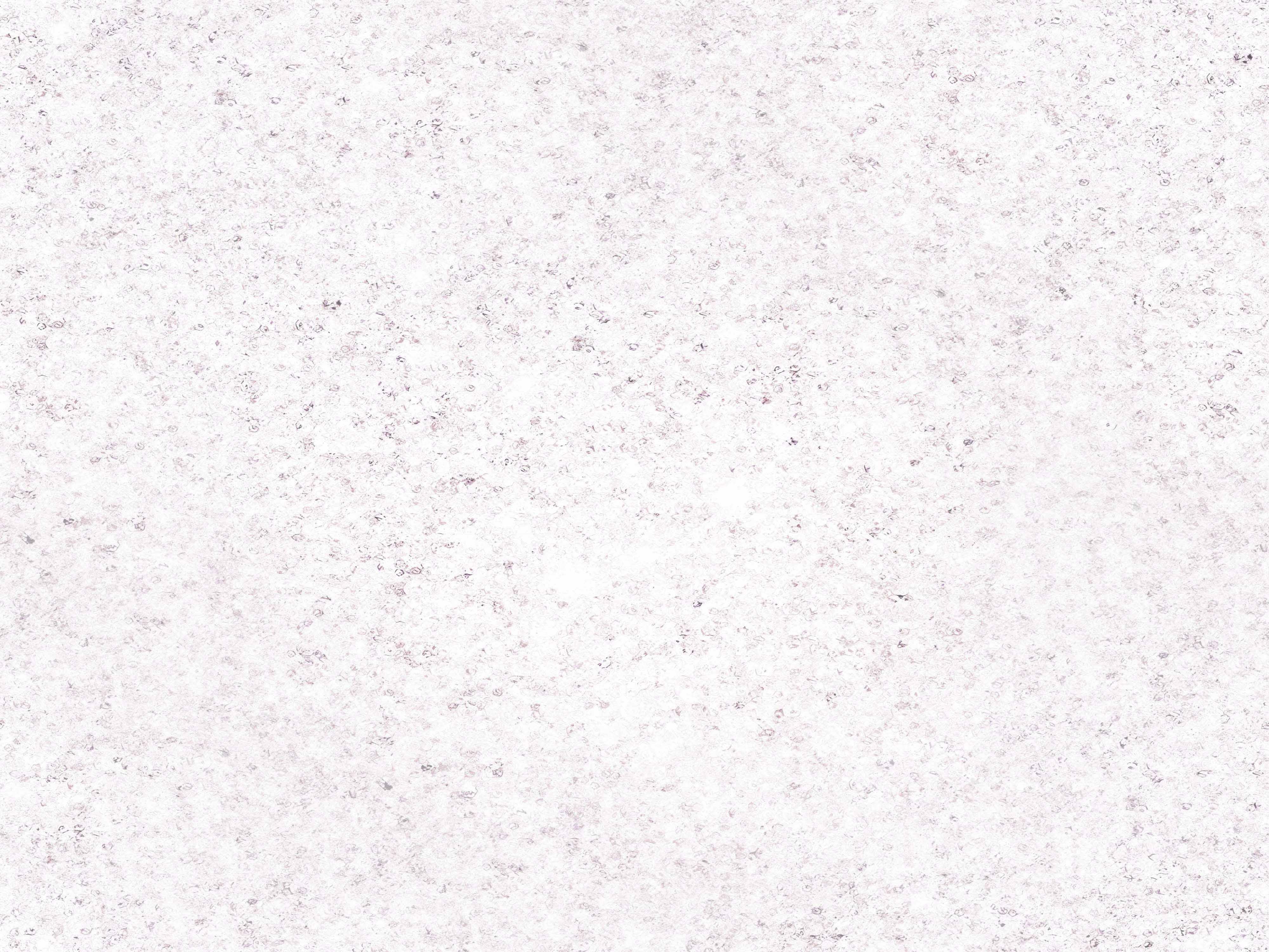Luxury White Seamless Texture Paper - CraftNest - Digital Crafting and Art