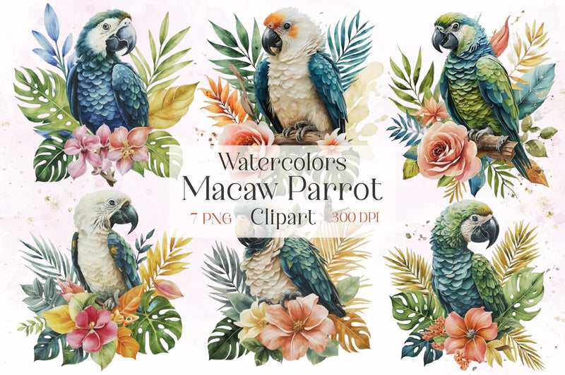 Macaw Parrot Clipart Bundle - CraftNest - Digital Crafting and Art