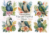 Macaw Parrot Clipart Bundle