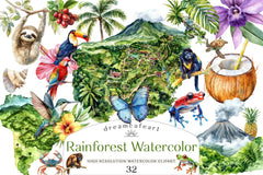 Rainforest Vintage Nature Clipart Bundle - CraftNest - Digital Crafting and Art