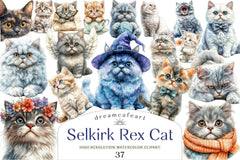 Selkirk Rex Cat Clipart Bundle - CraftNest - Digital Crafting and Art