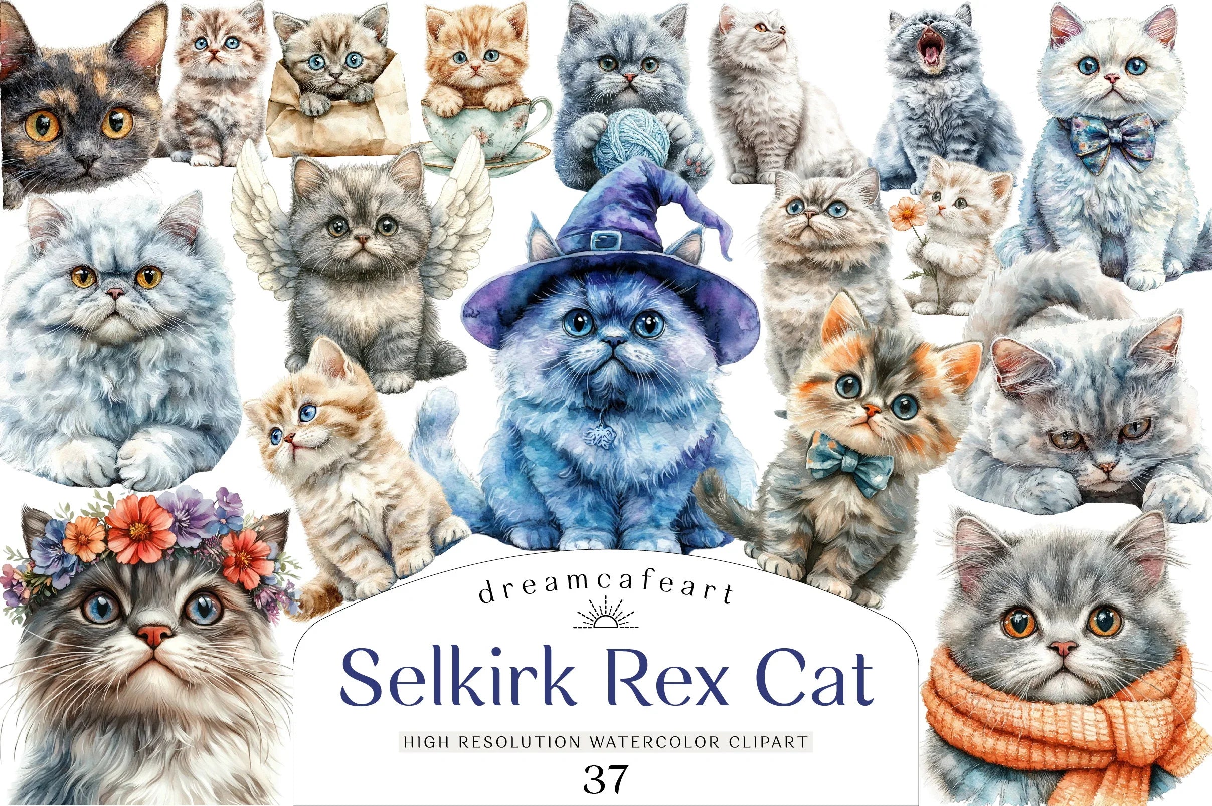 Selkirk Rex Cat Clipart Bundle - CraftNest - Digital Crafting and Art