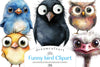 Funny Bird Clipart Bundle