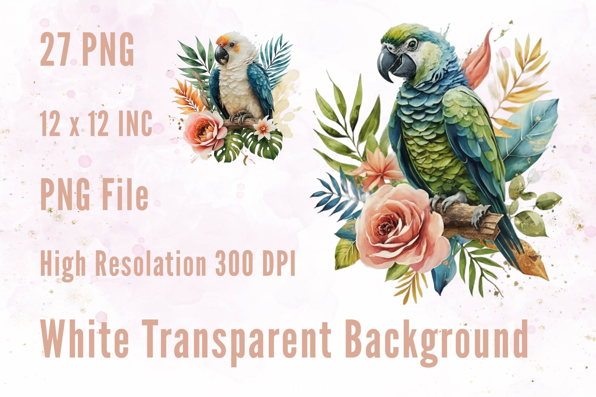 Macaw Parrot Clipart Bundle - CraftNest - Digital Crafting and Art
