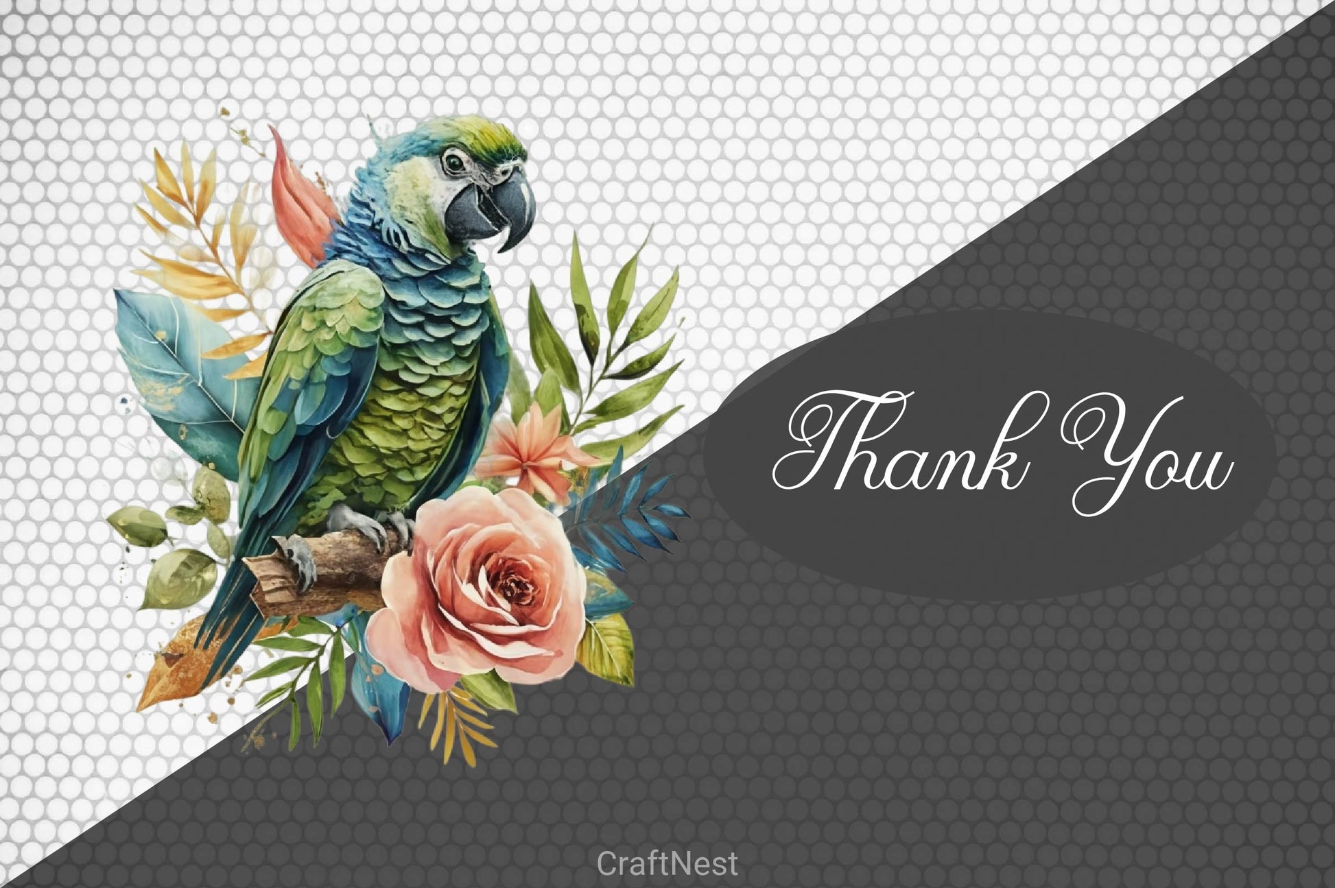 Macaw Parrot Clipart Bundle - CraftNest - Digital Crafting and Art