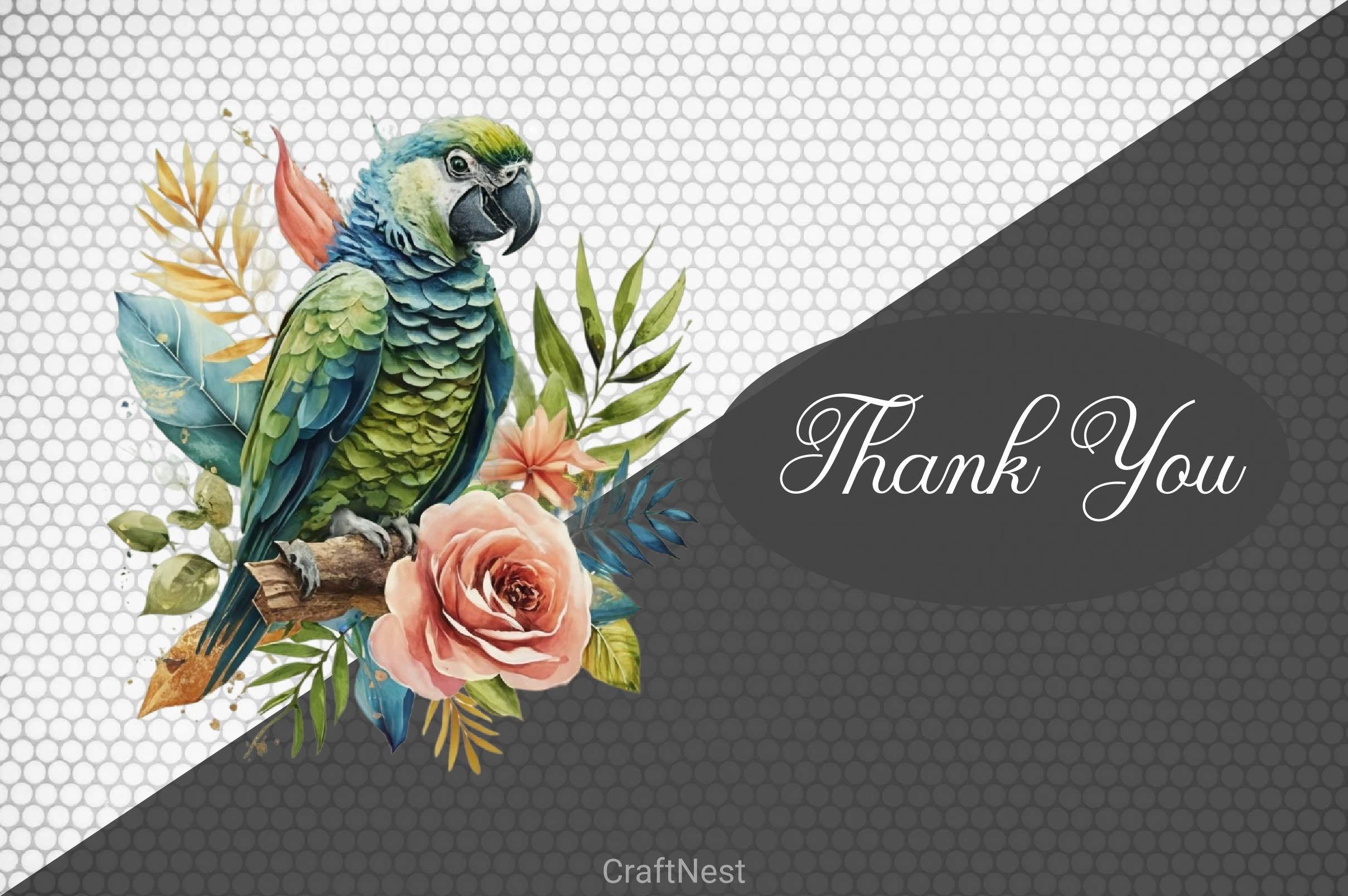 Macaw Parrot Clipart Bundle - CraftNest - Digital Crafting and Art