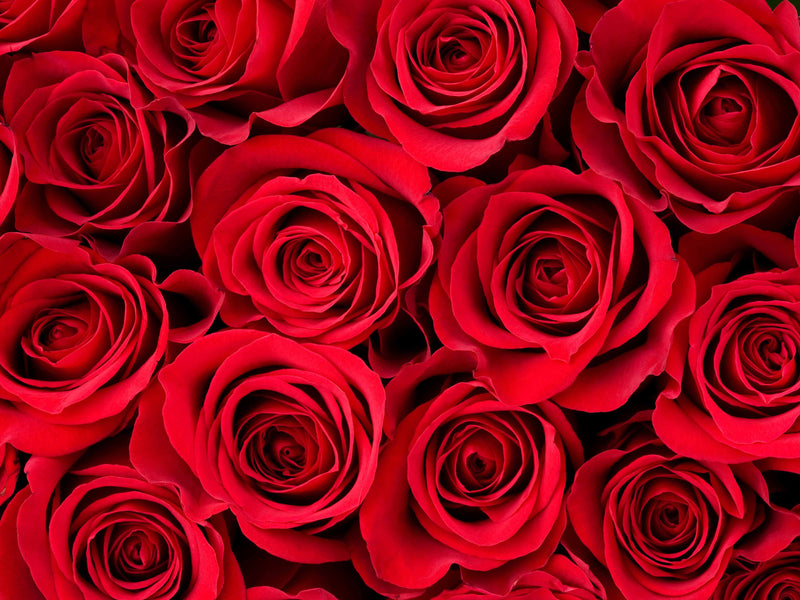 Valentine's Day Seamless Digital Paper 1 - CraftNest - Digital Crafting and Art